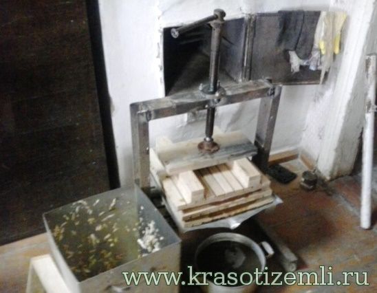 пресс для яблок