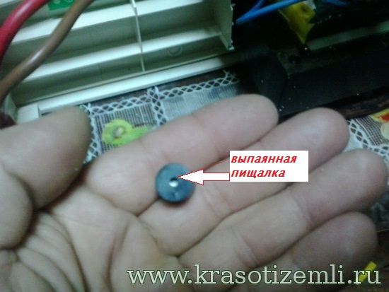 выпаянная пищалка