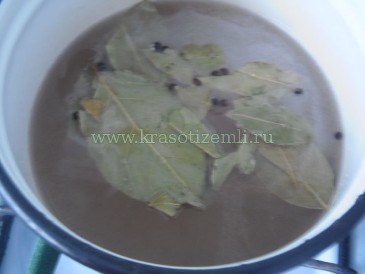 сироп