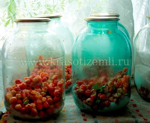 компот из морошки