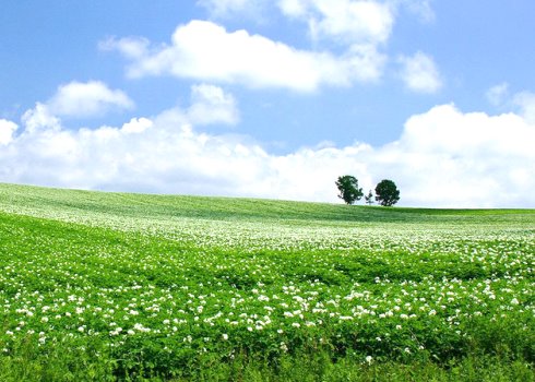 Приметы по дням на июль месяц