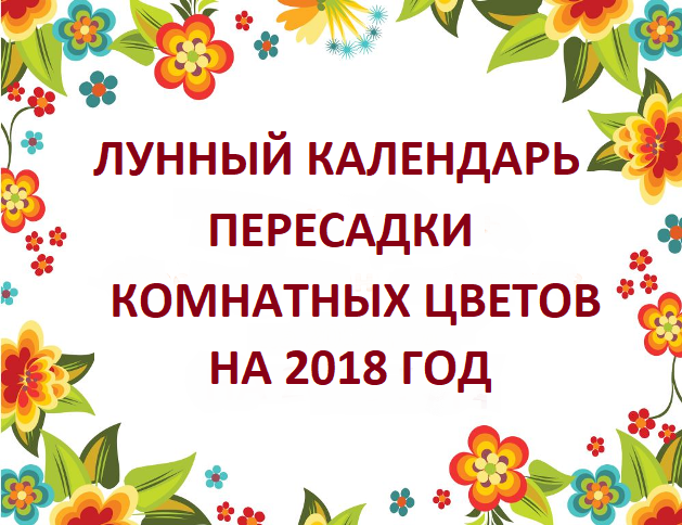 Лунный календарь пересадки комнатных растений на 2018 год