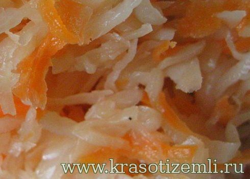 Квашеная капуста: польза и вред