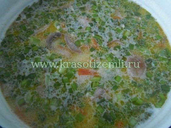 Вкусный суп из плавленых сырков с грибами