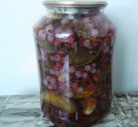 Маринованные огурцы с красной смородиной без уксуса и стерилизации